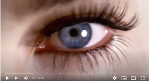 wella-large.png wella-large.png